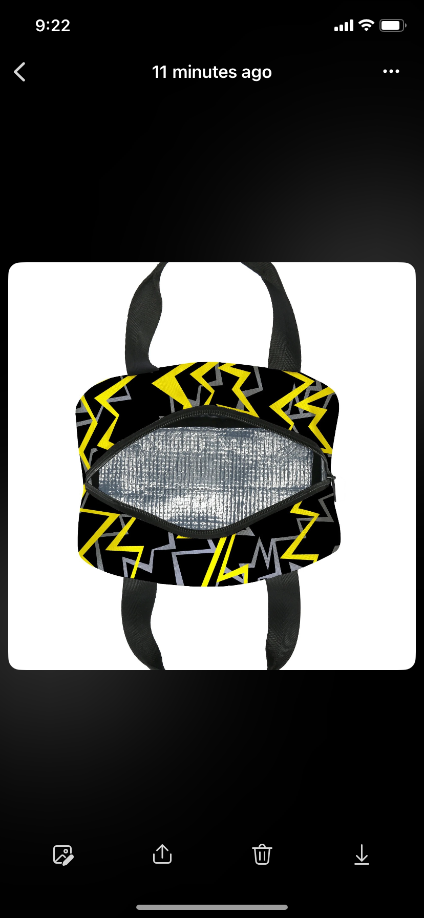 Pokemon Pikachu Black and Yellow Lunchbox